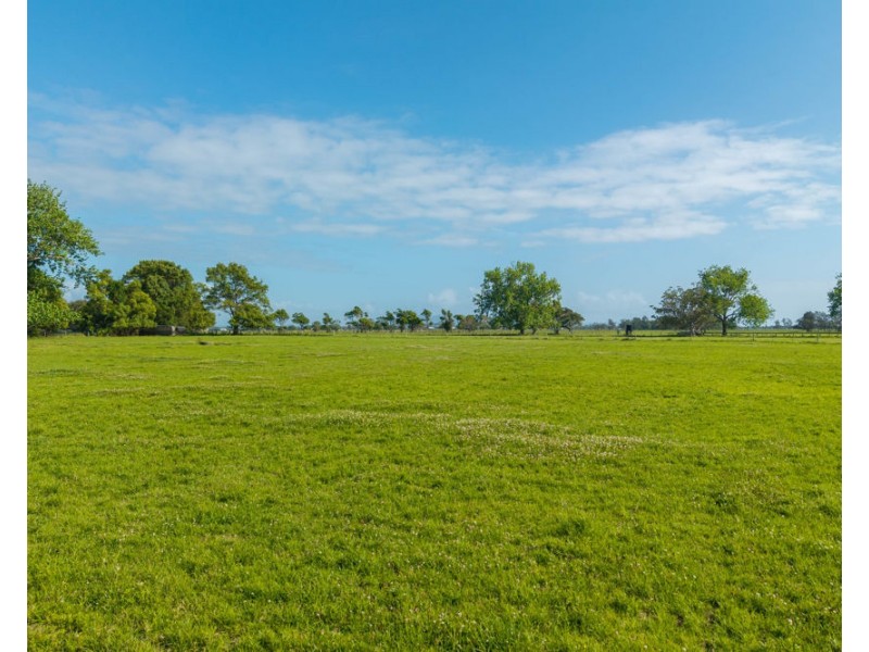 54 Back Creek Road, Kinchela NSW 2440