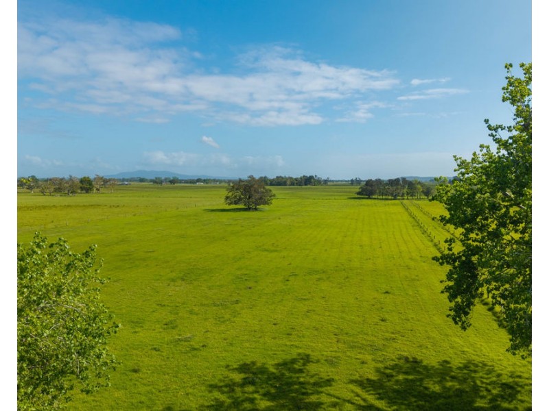 54 Back Creek Road, Kinchela NSW 2440