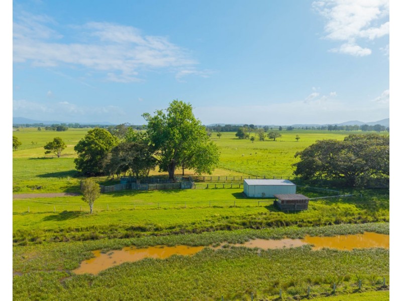54 Back Creek Road, Kinchela NSW 2440