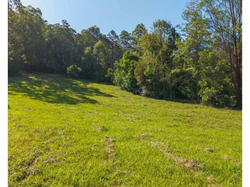 409 Rollands Plains Road, Telegraph Point NSW 2441