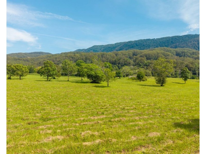 870 Darkwood Road, Thora NSW 2454