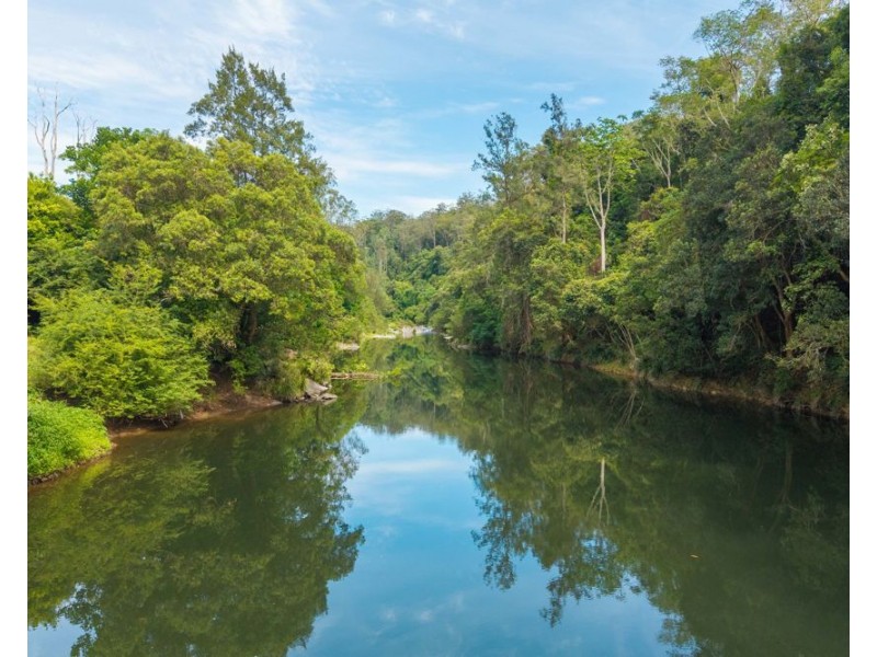 870 Darkwood Road, Thora NSW 2454