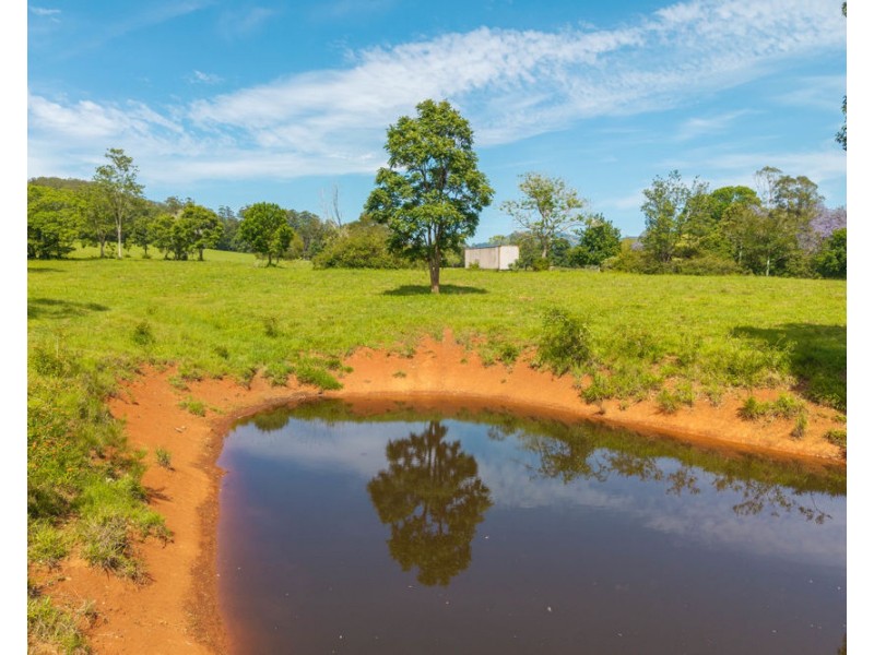 870 Darkwood Road, Thora NSW 2454