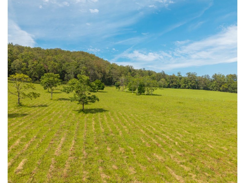 870 Darkwood Road, Thora NSW 2454