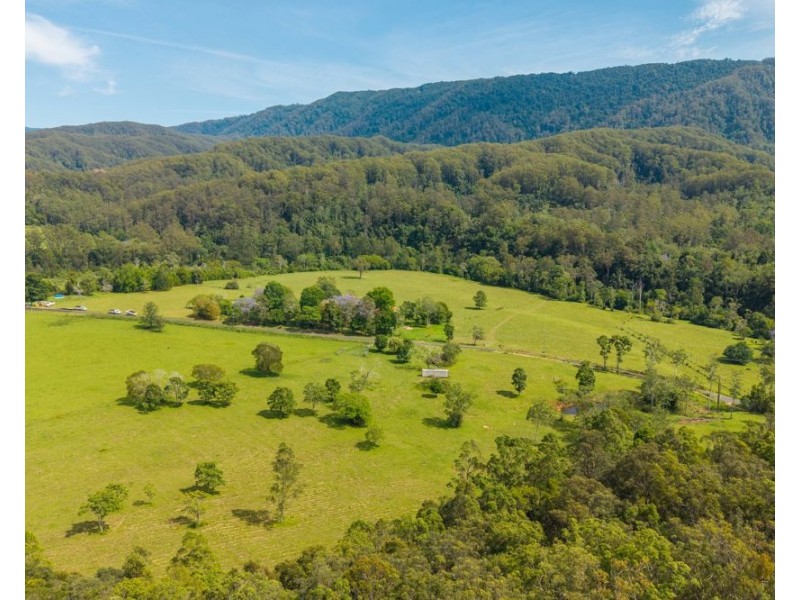 870 Darkwood Road, Thora NSW 2454