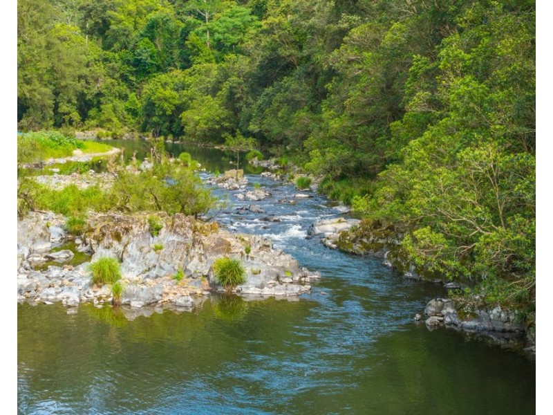 870 Darkwood Road, Thora NSW 2454