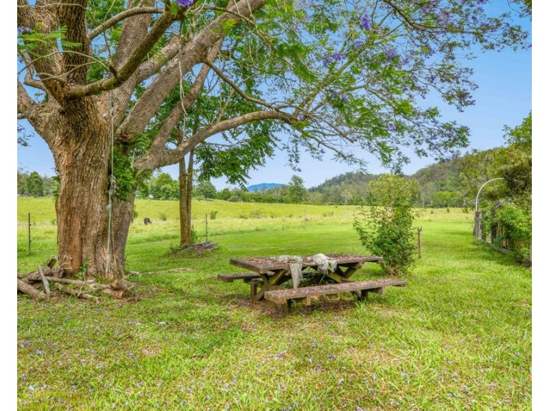 870 Darkwood Road, Thora NSW 2454