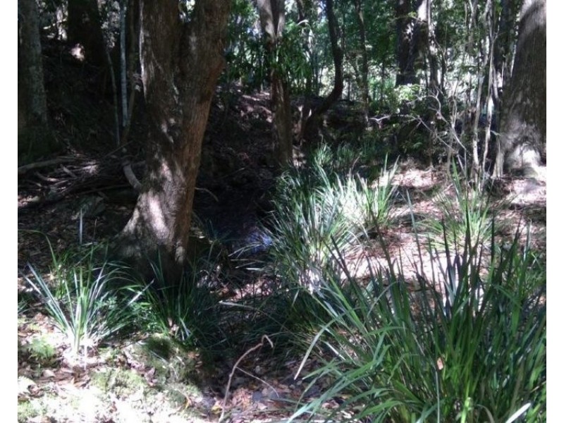 622A Simpson Ridge Road, South Arm NSW 2449