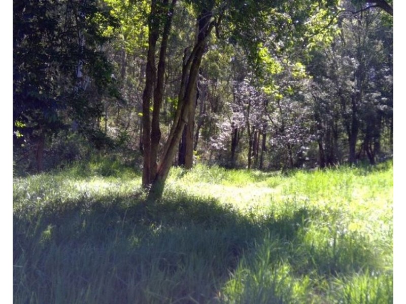 622A Simpson Ridge Road, South Arm NSW 2449