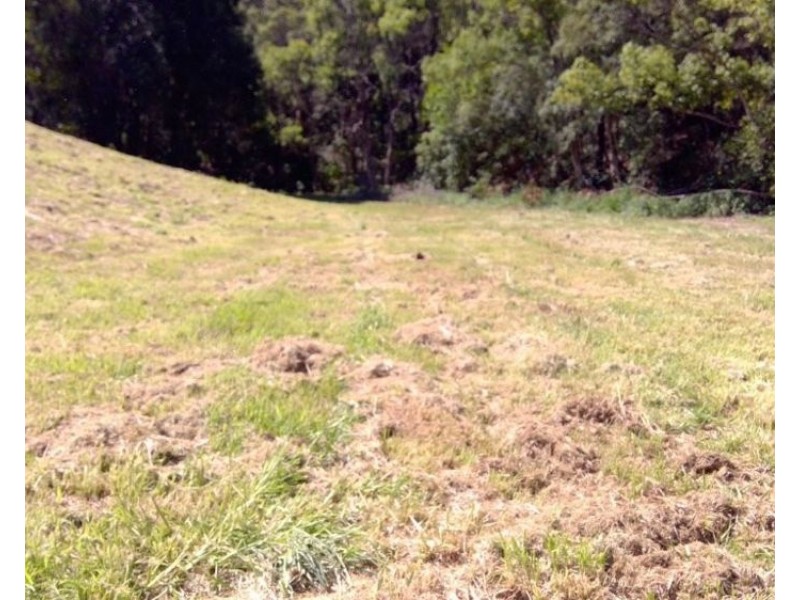 622A Simpson Ridge Road, South Arm NSW 2449