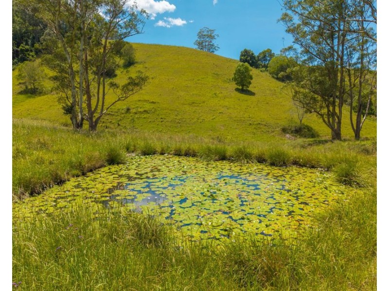 486 North Branch Rd, Upsalls Creek NSW 2439