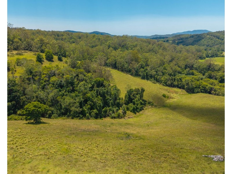 486 North Branch Rd, Upsalls Creek NSW 2439