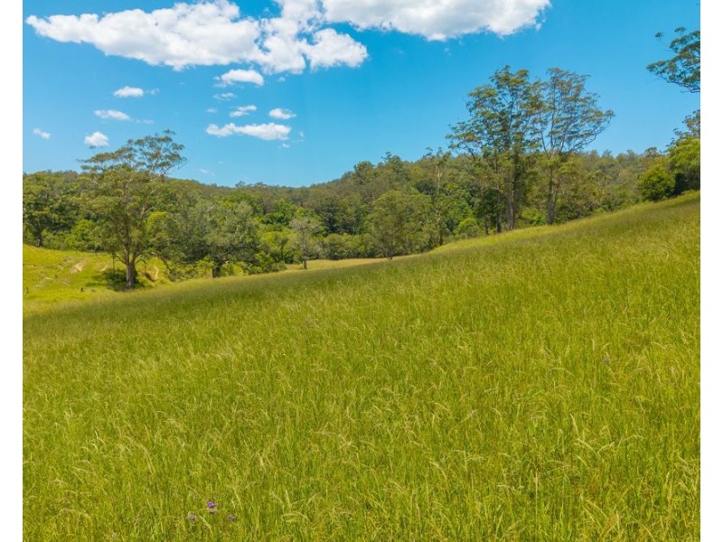 486 North Branch Rd, Upsalls Creek NSW 2439