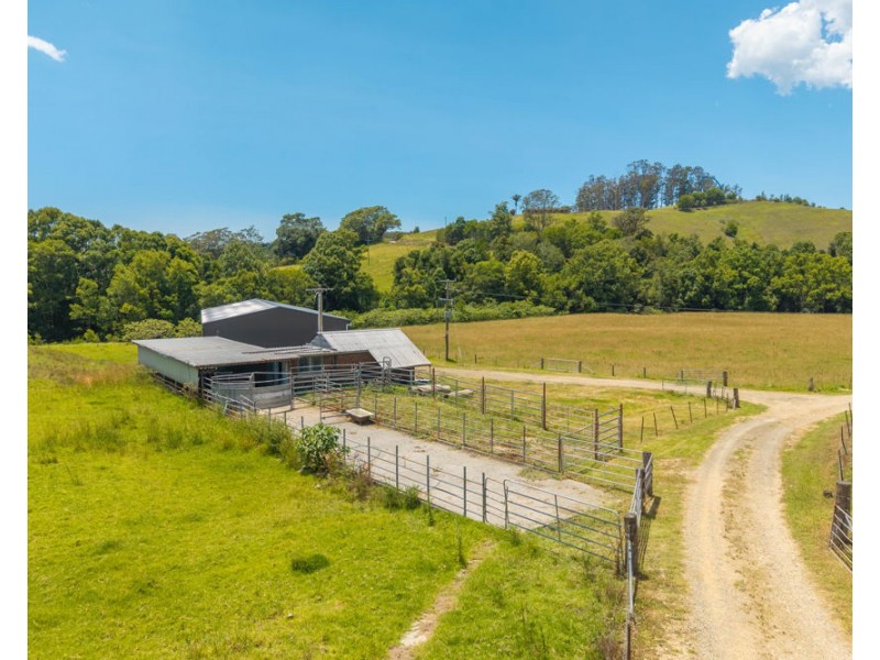 486 North Branch Rd, Upsalls Creek NSW 2439