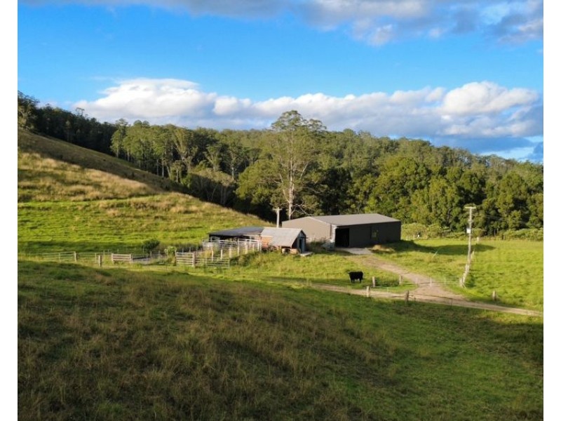 486 North Branch Rd, Upsalls Creek NSW 2439