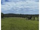 LOTS 72 & 79 753 Turners Flat Rd, Turners Flat NSW 2440