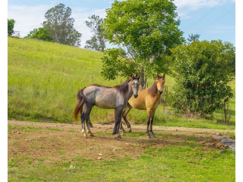 7366 Oxley Highway, Mount Seaview NSW 2446