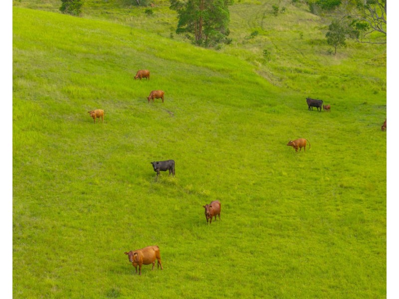 7366 Oxley Highway, Mount Seaview NSW 2446