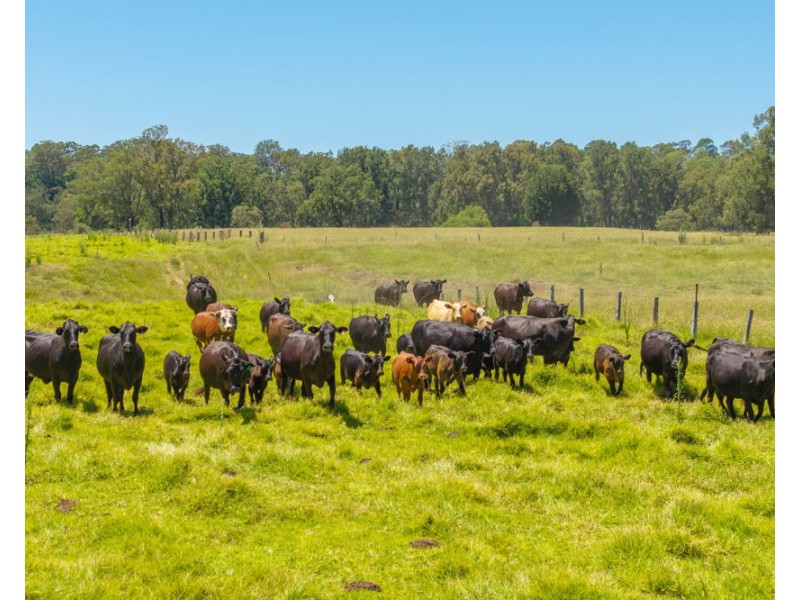 1436 Gowings Hill Road, Sherwood NSW 2440