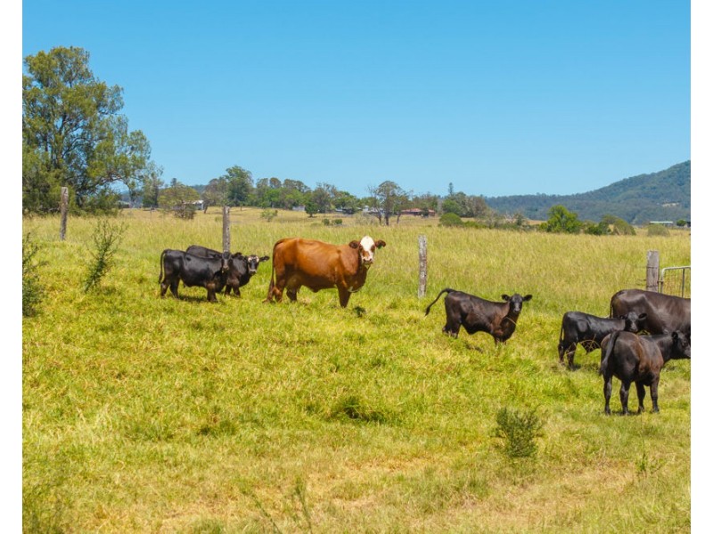 1436 Gowings Hill Road, Sherwood NSW 2440