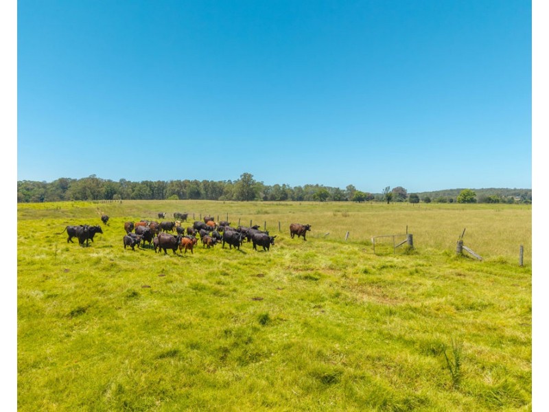 1436 Gowings Hill Road, Sherwood NSW 2440