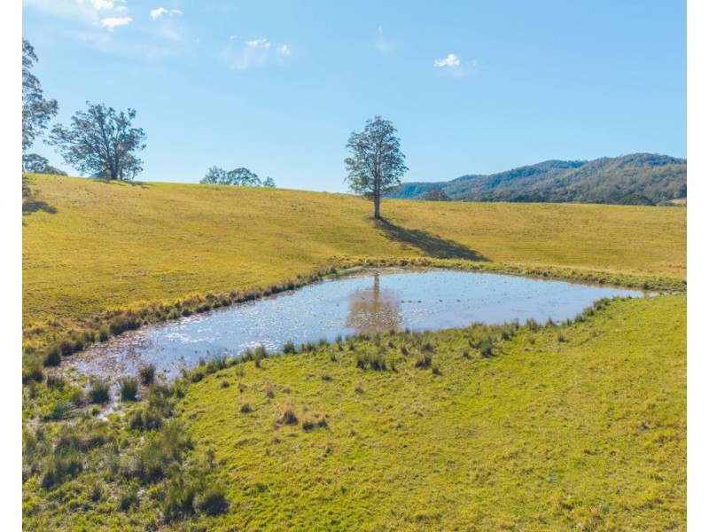 Lot 3 of 449 Hickeys Creek Road, Millbank NSW 2440