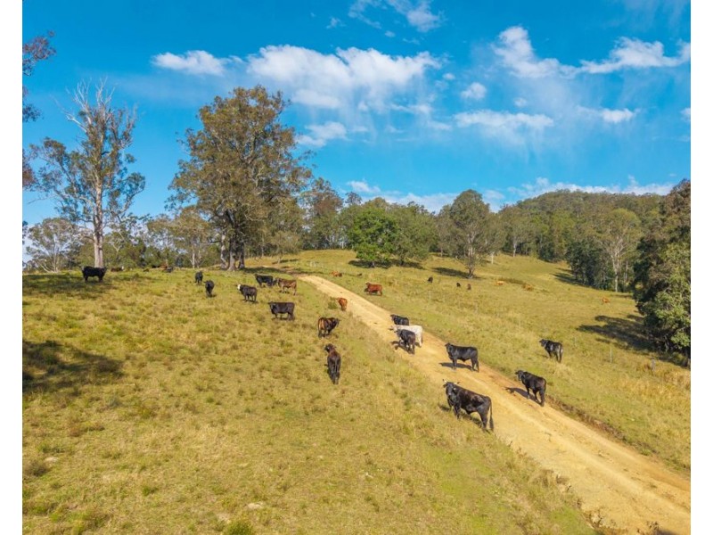 Lot 3 of 449 Hickeys Creek Road, Millbank NSW 2440