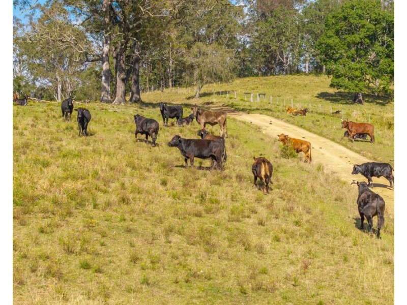 Lot 3 of 449 Hickeys Creek Road, Millbank NSW 2440