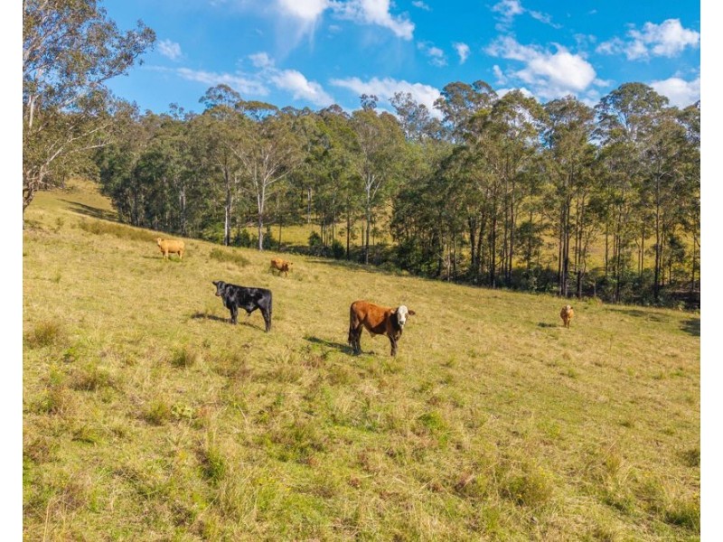 Lot 3 of 449 Hickeys Creek Road, Millbank NSW 2440