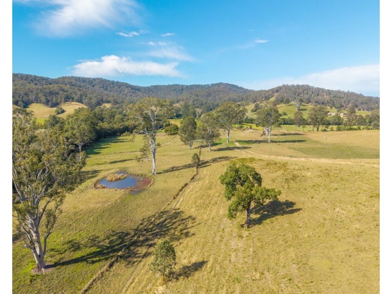 LOT 1 of 449 Hickeys Creek Road, Millbank NSW 2440