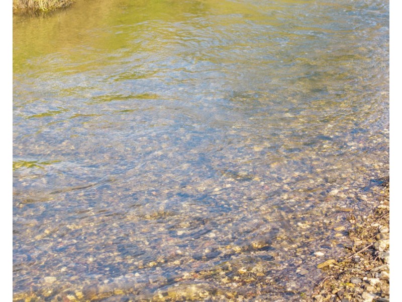 LOT 1 of 449 Hickeys Creek Road, Millbank NSW 2440