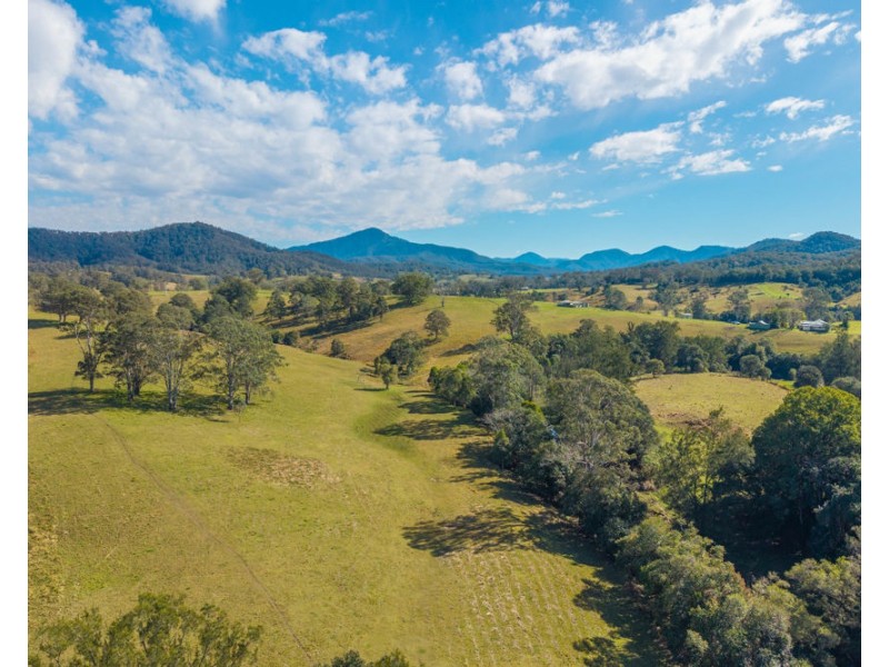 LOT 1 of 449 Hickeys Creek Road, Millbank NSW 2440