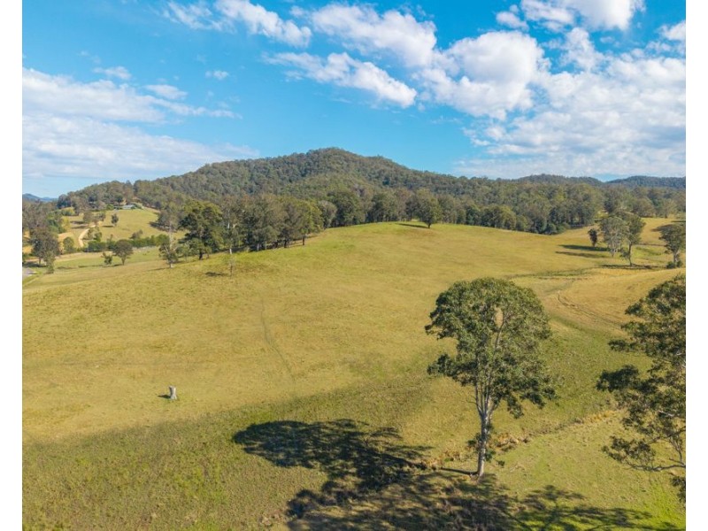 LOT 1 of 449 Hickeys Creek Road, Millbank NSW 2440