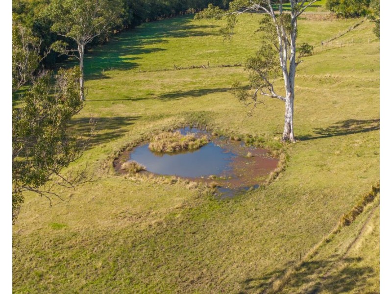 LOT 1 of 449 Hickeys Creek Road, Millbank NSW 2440