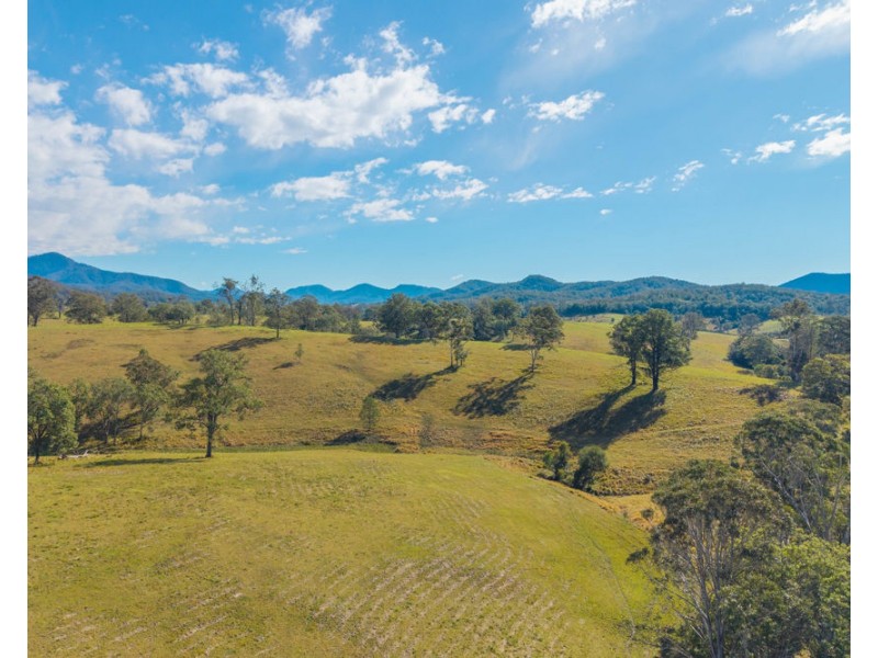 LOT 1 of 449 Hickeys Creek Road, Millbank NSW 2440
