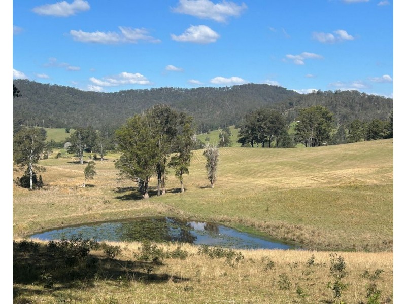 LOT 1 of 449 Hickeys Creek Road, Millbank NSW 2440