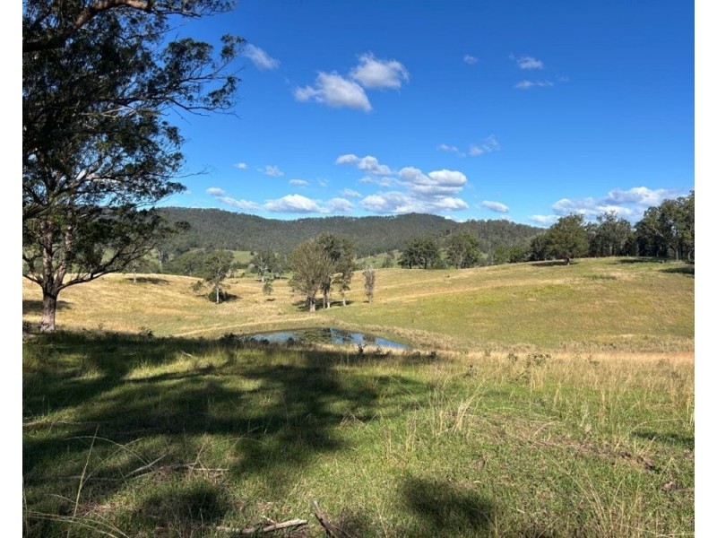 LOT 1 of 449 Hickeys Creek Road, Millbank NSW 2440