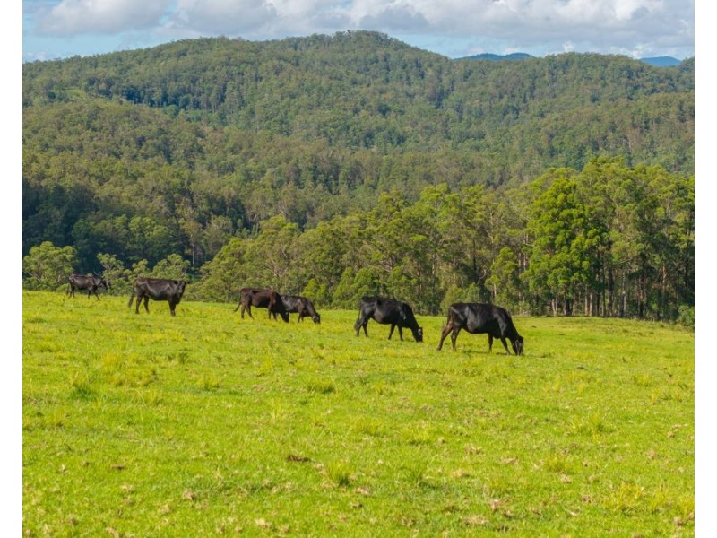 669 Costigans Road, Yarras NSW 2795