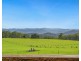 669 Costigans Road, Yarras NSW 2795