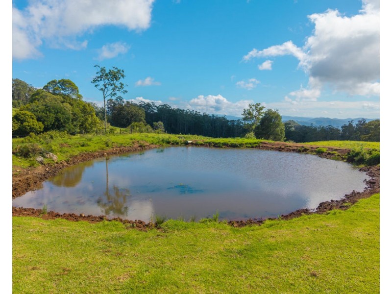 669 Costigans Road, Yarras NSW 2795