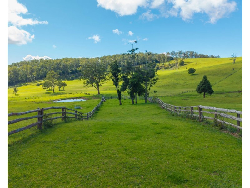 669 Costigans Road, Yarras NSW 2795