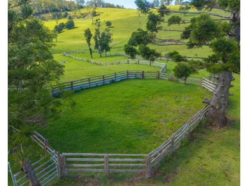 669 Costigans Road, Yarras NSW 2795