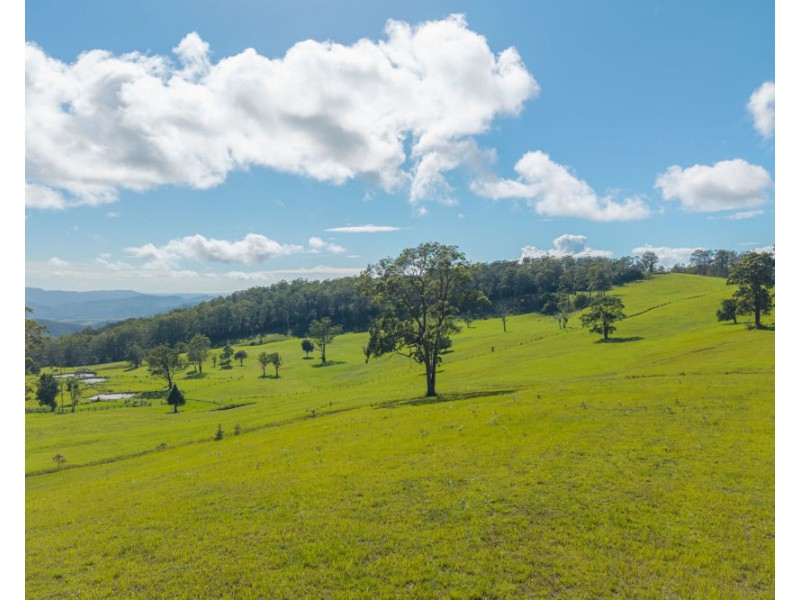 669 Costigans Road, Yarras NSW 2795