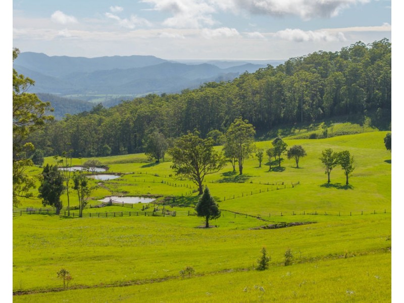 669 Costigans Road, Yarras NSW 2795