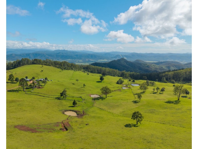 669 Costigans Road, Yarras NSW 2795