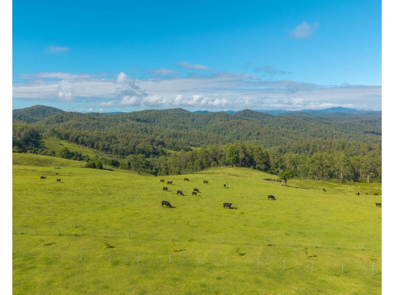 669 Costigans Road, Yarras NSW 2795