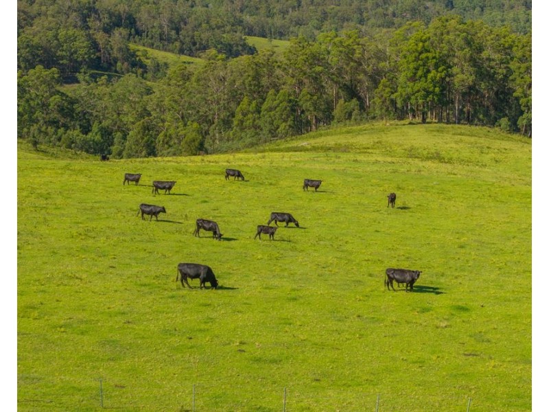 669 Costigans Road, Yarras NSW 2795