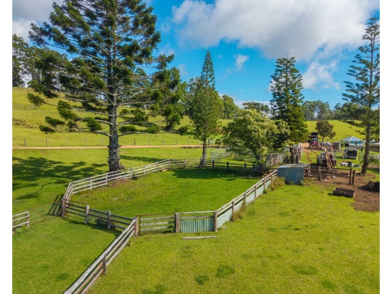 669 Costigans Road, Yarras NSW 2795
