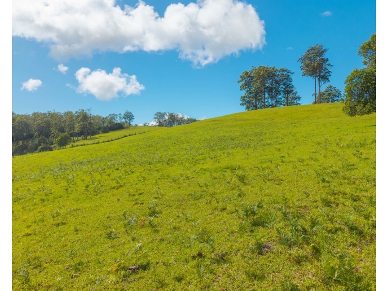 669 Costigans Road, Yarras NSW 2795