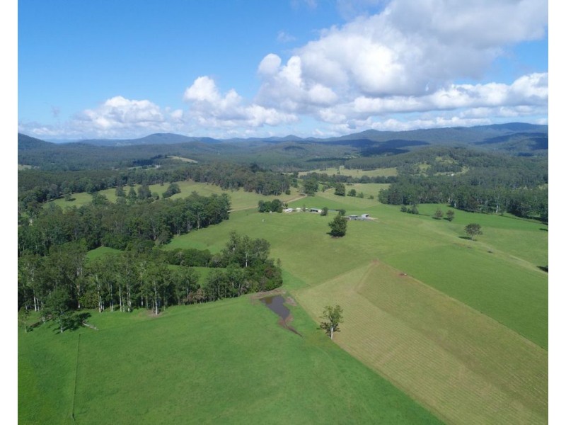 54 Foxs Road, Rollands Plains NSW 2441